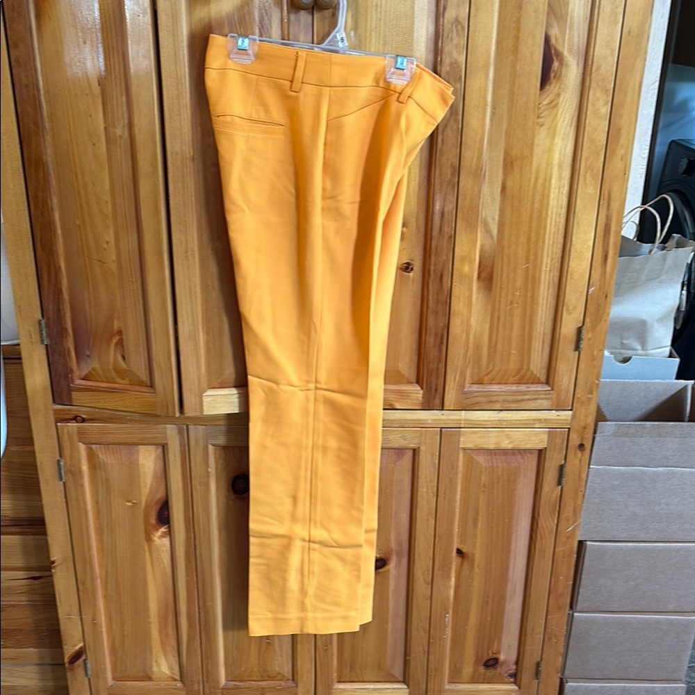 Express Yellow Low Rise Pants